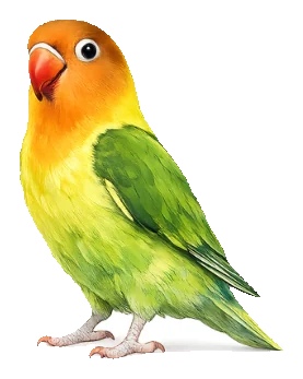 Ástarfugl